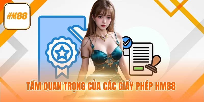 Tầm quan trọng của các giấy phép HM88
